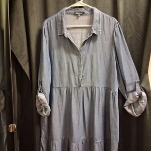 Velvet Heart Blue Jean Button-Up Dress